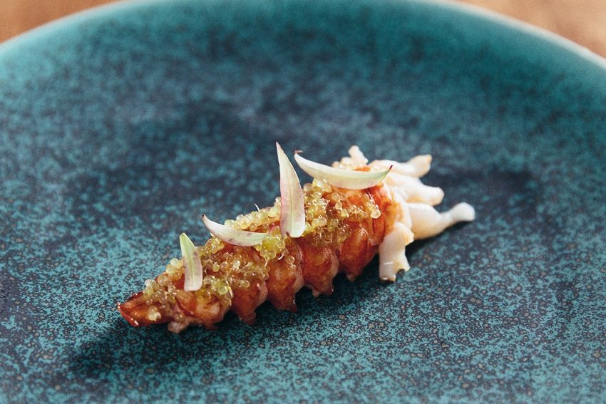 Review: Orana