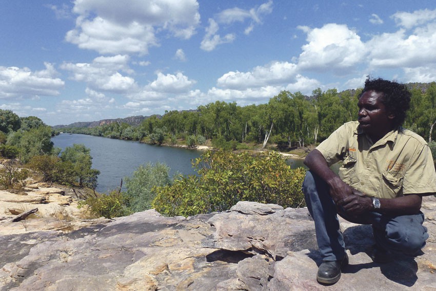 Kakadu Dreaming