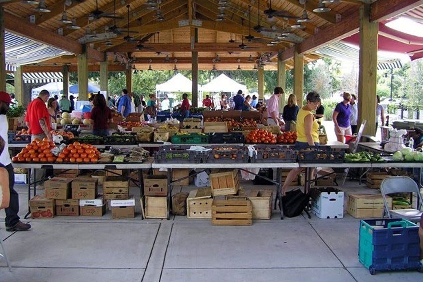 Liz Harfull speaks for Farmers Market