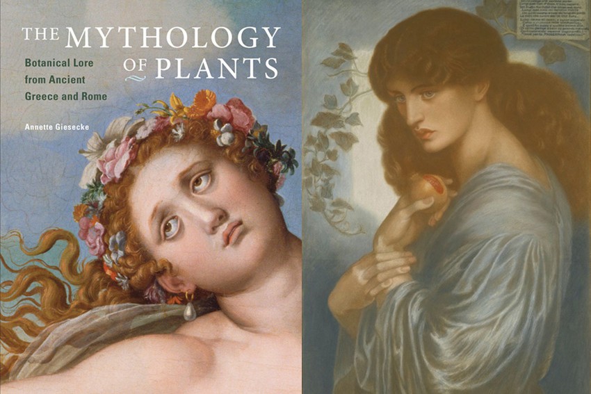 Greenspace: The Mythology of Plants