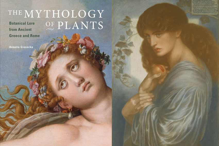 Greenspace The Mythology of Plants The Adelaide Review