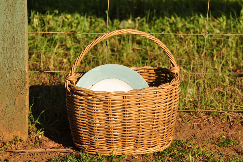 Cheese Matters: What’s in your picnic basket?