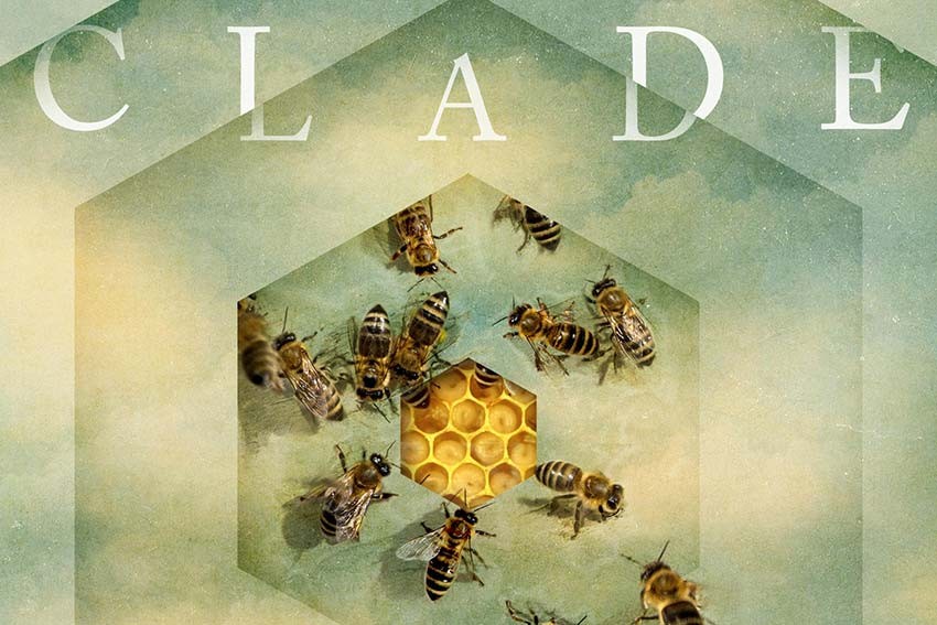 Clade Review