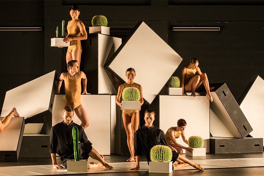 Sydney Dance Company’s Adelaide connection