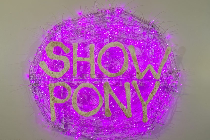 Zoe Brooks’ Show Pony