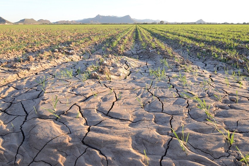 CSIRO cuts: climate science really does need to shift its focus towards adaptation