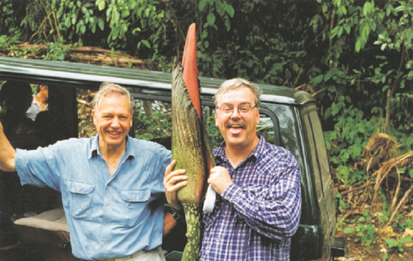 Greenspace: The Corpse Flower is a 'Misshapen Penis'