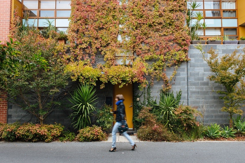 Adelaide City Council has Green Form