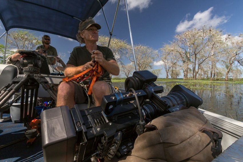 Nature Roars Back: Bob Poole Brings Africa to Adelaide