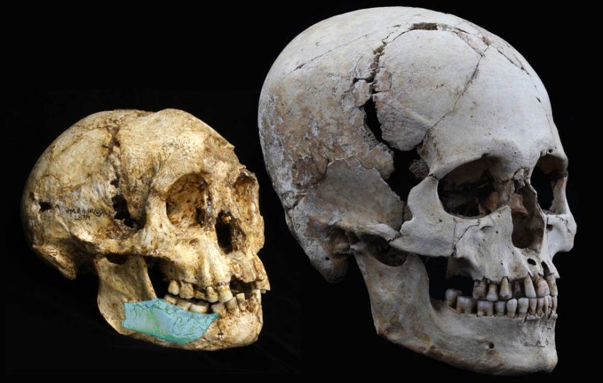 A 700,000-Year-Old Fossil Find Shows the Hobbits’ Ancestors Were Even Smaller