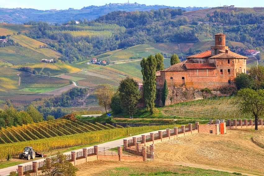 Wine Review: Langhe Nebbiolo "like catnip to a moggy"