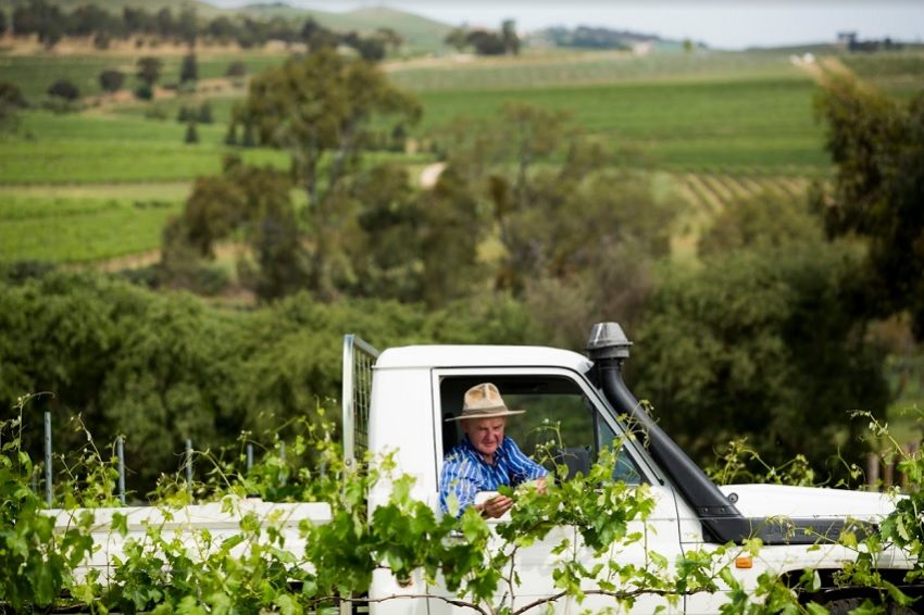 Wine Review: Australia's First Assyrtiko from Jim Barry