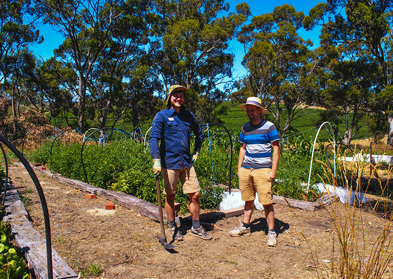 From Garden to Plate: Iberia Adelaide
