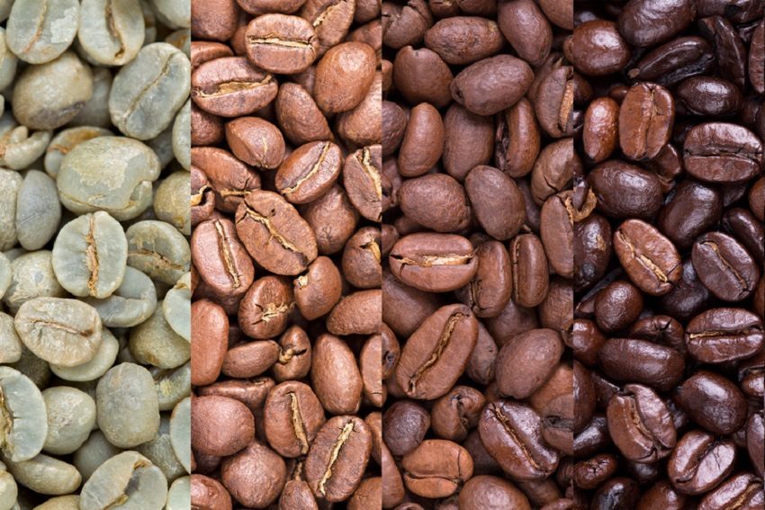 Adelaide's Coffee Roasters Go Toward the Light
