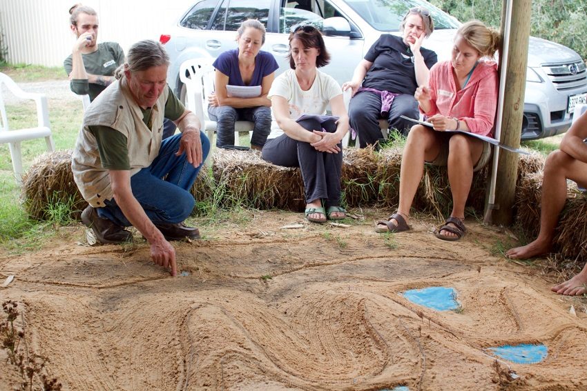 Adelaide's Food Forest Has Deep Permaculture Roots