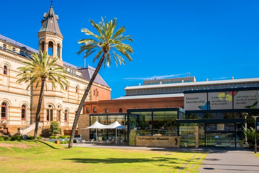 Transforming the South Australian Museum