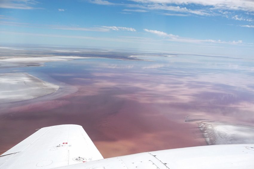 Satisfying a Salt Craving in SA's Outback