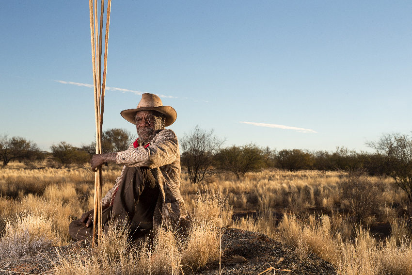 'Every spear is important': TARNANTHI's Kulata Tjuta exhibition