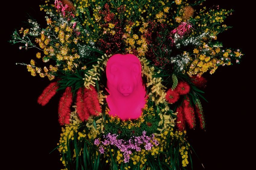 Artist Profile: CJ Taylor's elastic photography
