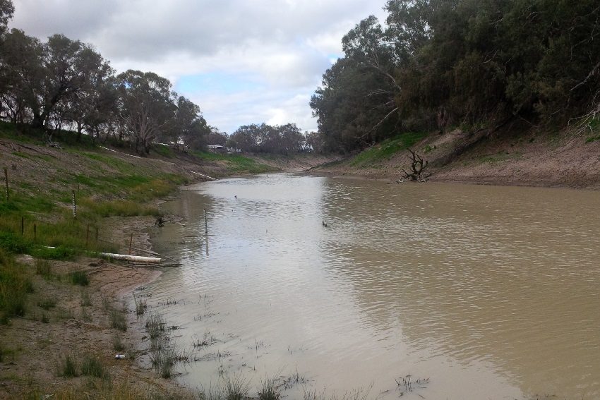 The Murray Darling Basin Plan is not delivering – there's no more time to waste