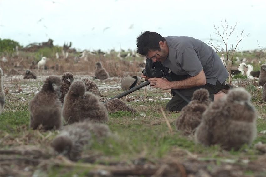 Albatross finds itself midway between horror and beauty