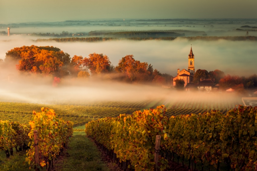 New wine business course offers a unique global blend The Adelaide Review