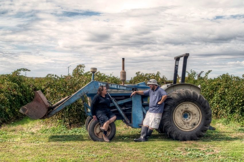 Doing a double take on Barossa Grenache with Yelland and Papps