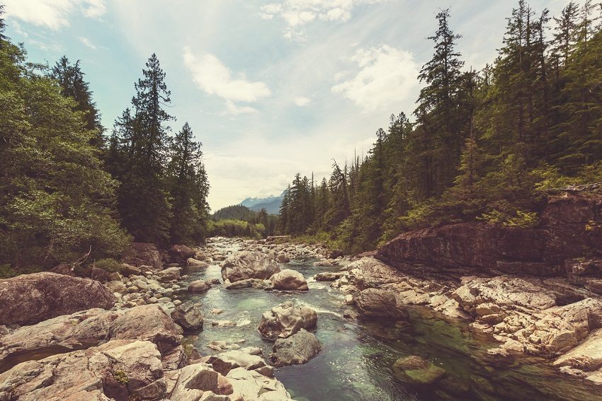 Nature’s bounty on coastal British Columbia