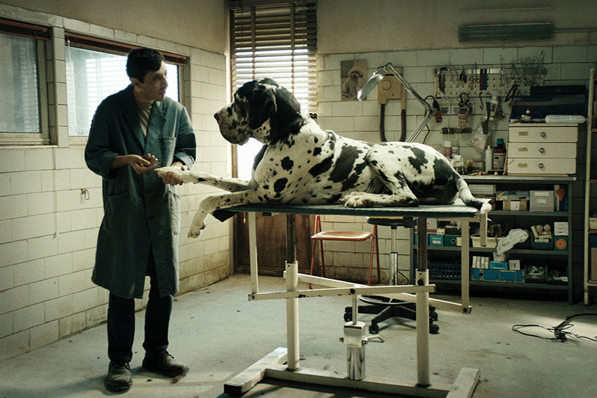 Film Review: Dogman