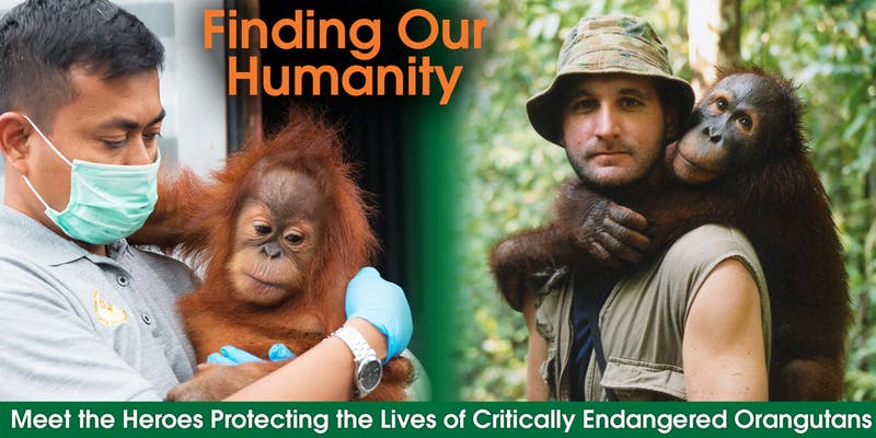 Finding Our Humanity - Meet the Heroes Protecting Orangutans