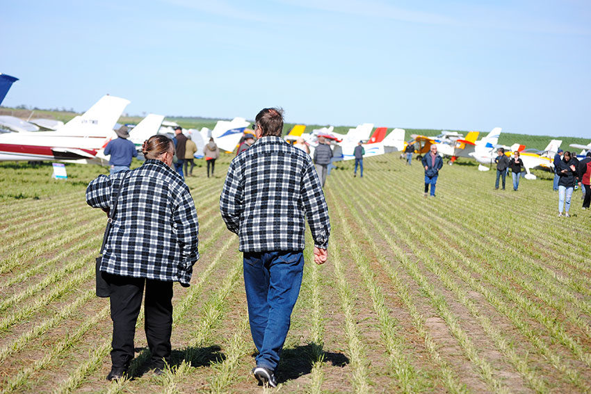 Good Country: Airfields of Barley at Minlaton