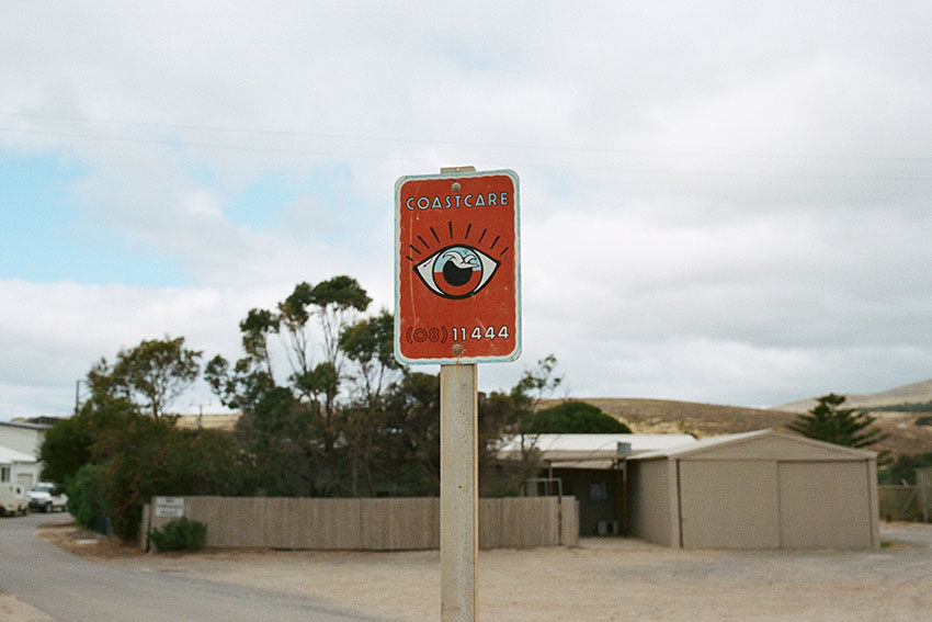 Miles Franklin shortlisted author Jennifer Mills examines a changing South Australia