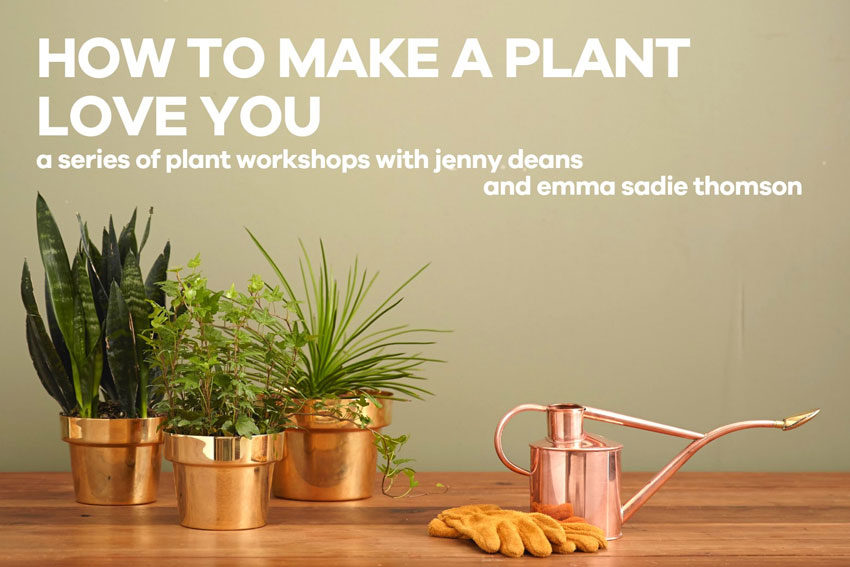 How to Make a Plant Love You
