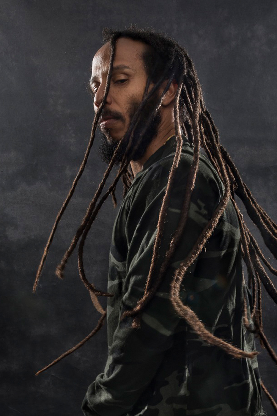 Ziggy Marley