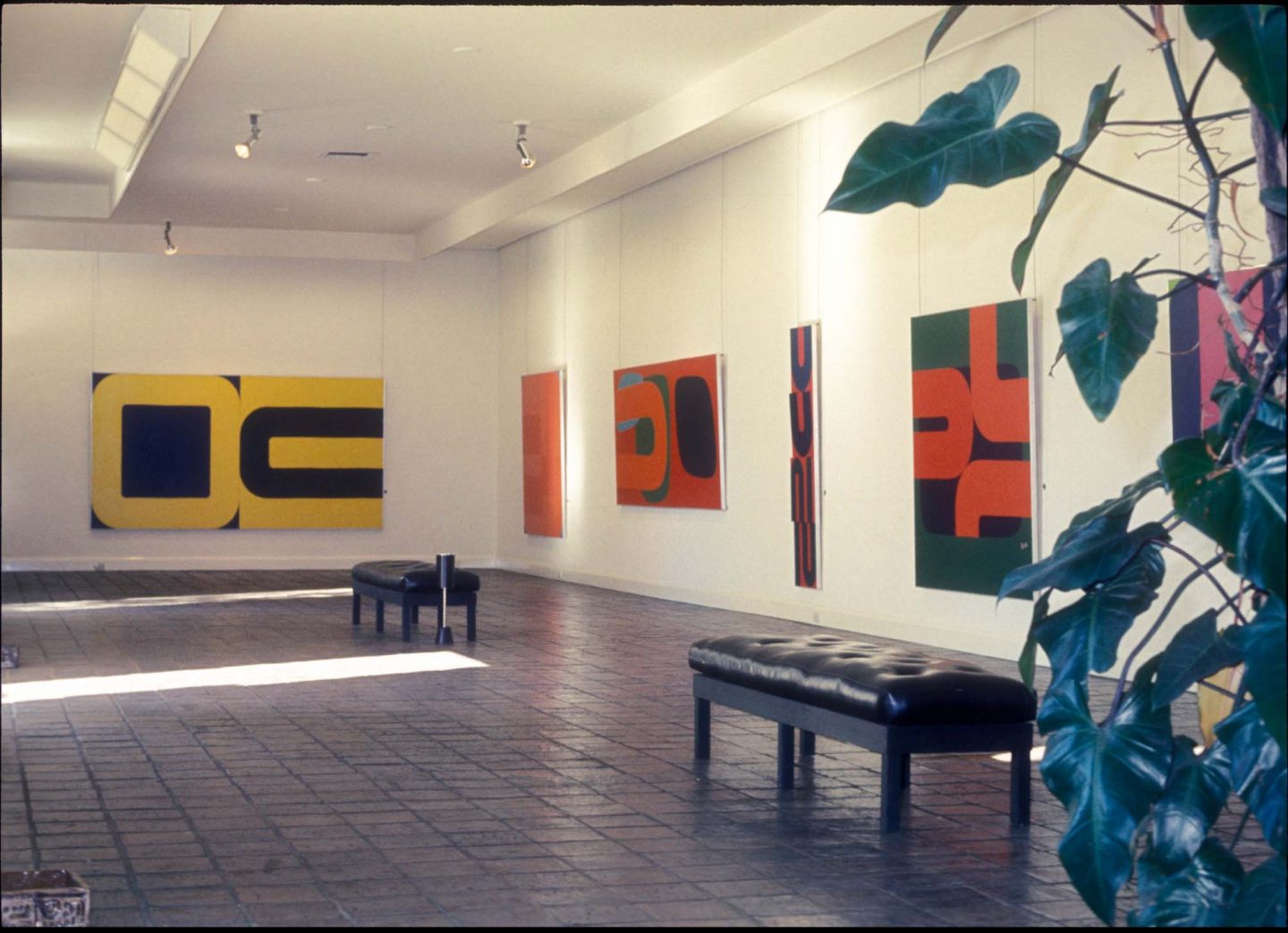 Installation view: Exhibition of John Dallwitz’s paintings, Bonython Art Gallery, Sydney, 1969