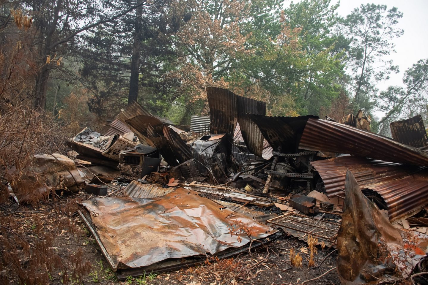 Bushfire aftermath in Blue Mountains