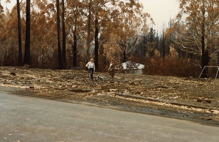 Mount Macedon in Victoria, after the Ash Wednesday bushfires in 1983