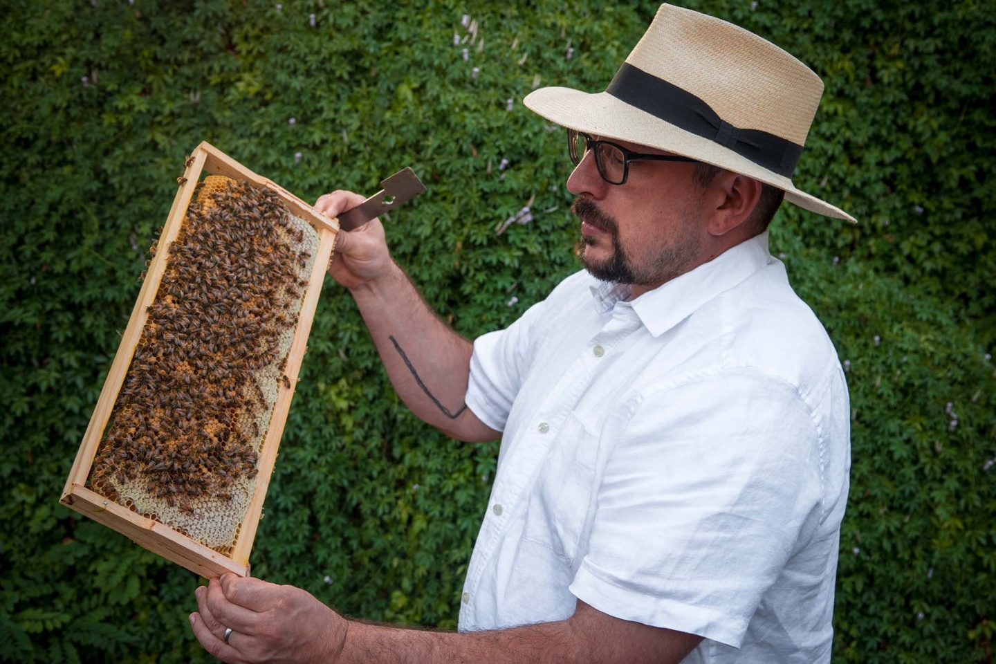 Mike Bianco with his beehive