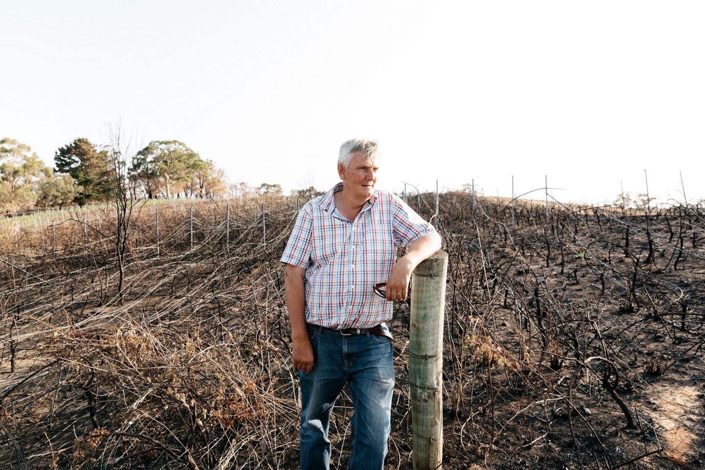James Tilbrook surveys the damage at his Adelaide Hills winery
