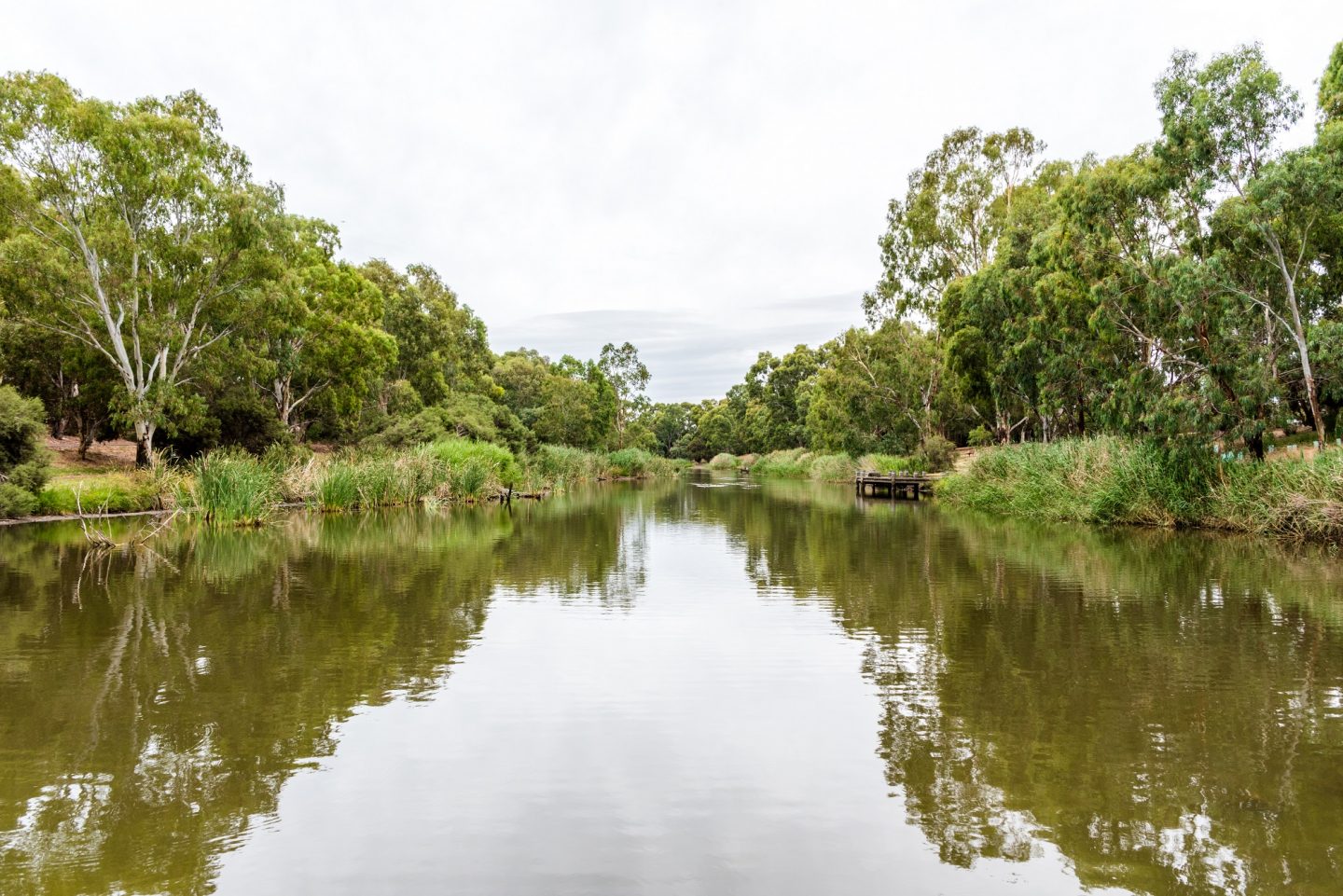 Torrens River