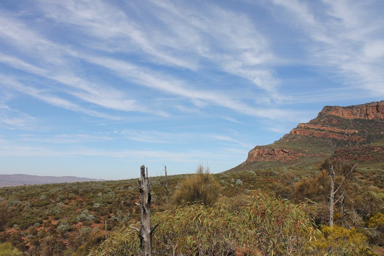 On the edge of Ikara you see open plains alongside the ridges of the Ranges