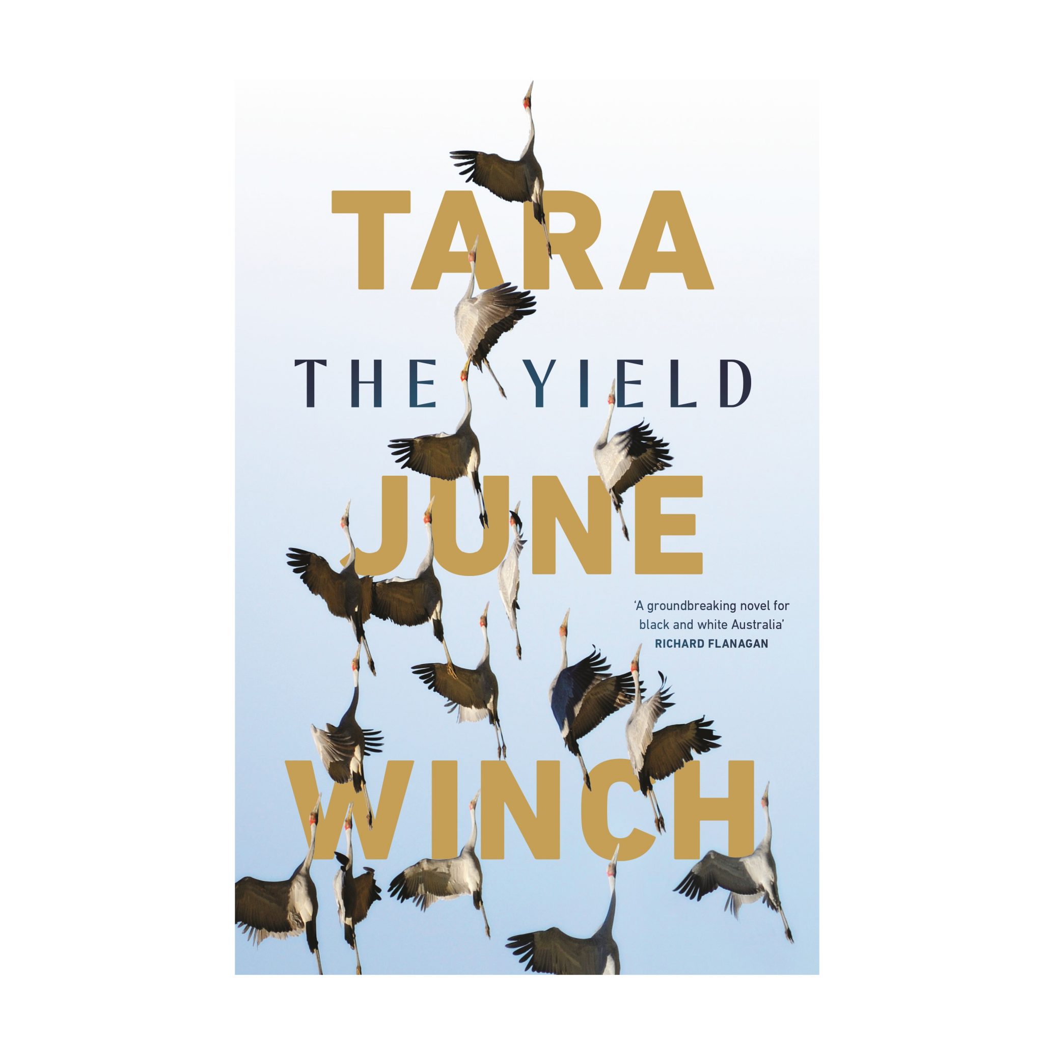 tara june winch the yield review tara june winch the yield review