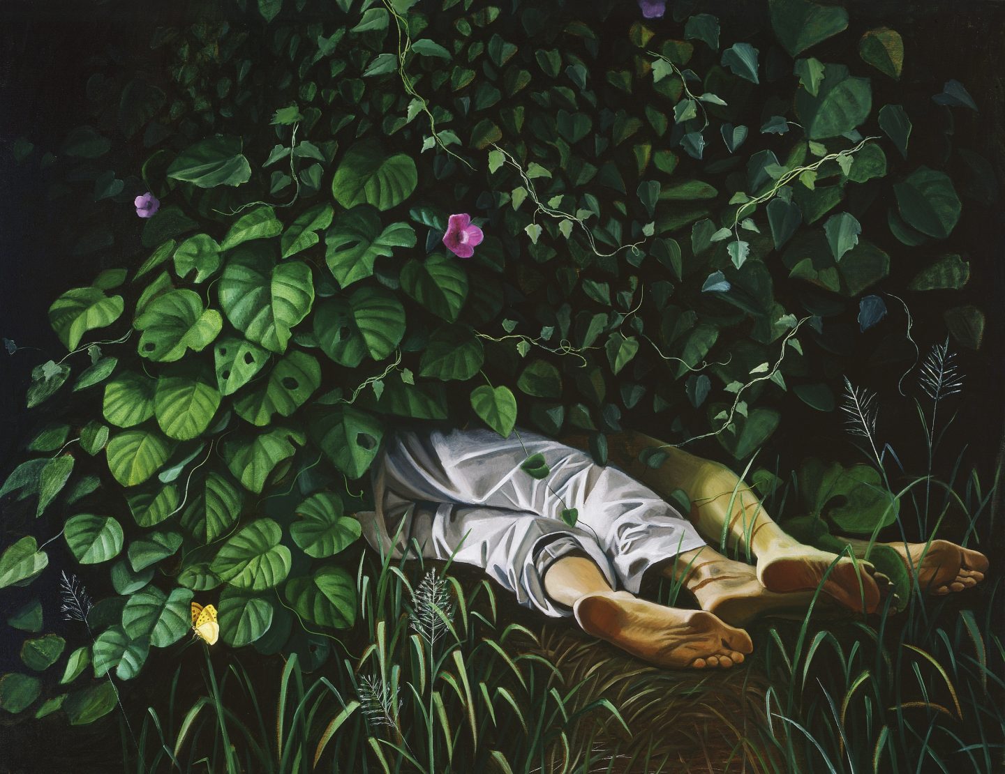 Anne Wallace, Morning Glory 2004, oil on canvas.