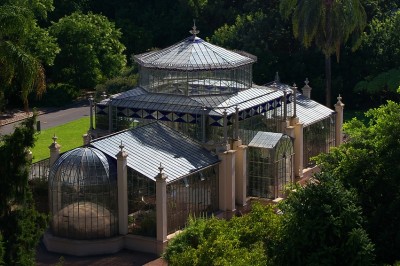 Adelaide-Biennial-Watching-glass-grow-Adelaide-Review-Botanic-Gardens