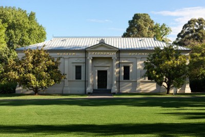 Adelaide-Biennial-Watching-glass-grow-Adelaide-Review-Botanic-Gardens-santos-museum-economic-botany