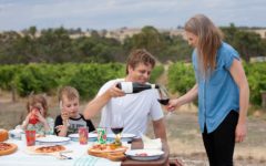 max-me-2015-boongarrie-shiraz-wine-revi-adelaide-review