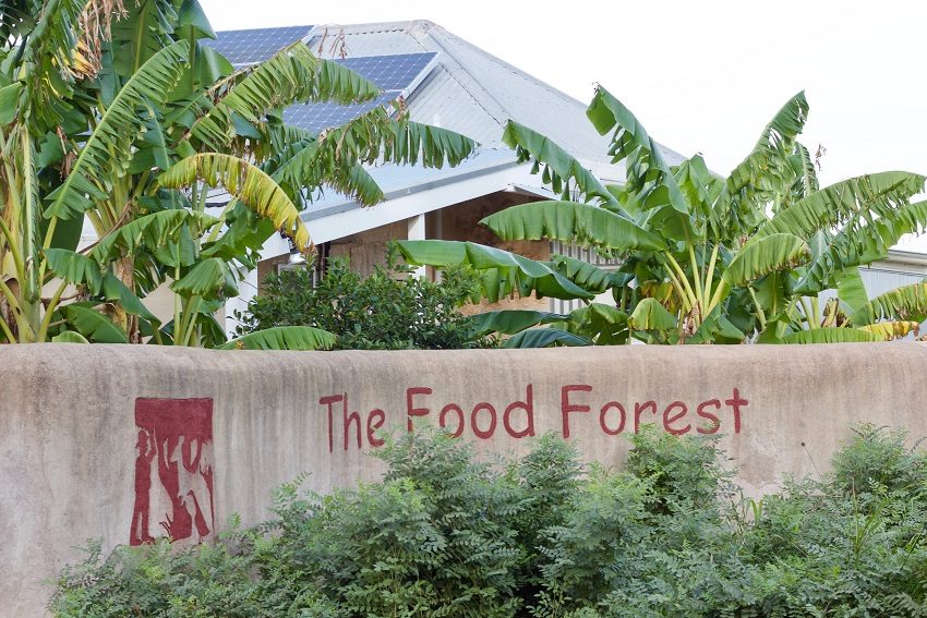food-forest-permaculture-adelaide-review