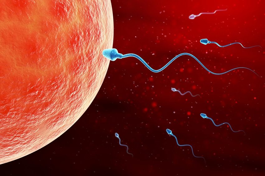 fertility-handmaids-tale-sperm-count-adelaide-review