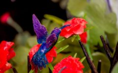 greenspace-kate-rohde-temple-flora-adelaide-review