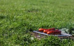 slings-arrows-park-land-pork-barrel-adelaide-review